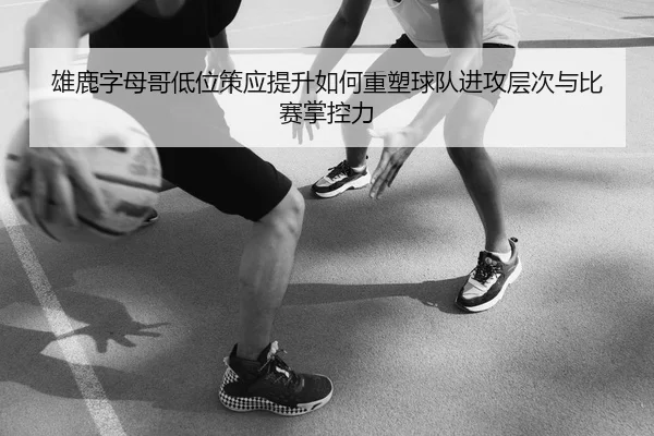 雄鹿字母哥低位策应提升如何重塑球队进攻层次与比赛掌控力